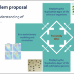 Warburg Global ETFs Strategie aktiv – Globale Chancen für Anleger
